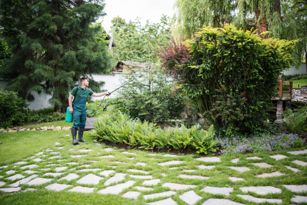 Best Mosquito Control Services  in Munroe Falls, OH