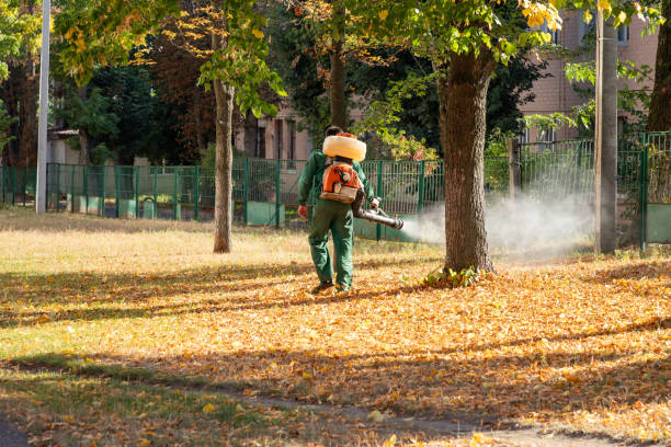 Best Bird Control  in Munroe Falls, OH