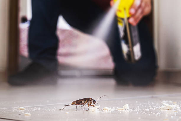 Best Pest Prevention Services  in Munroe Falls, OH