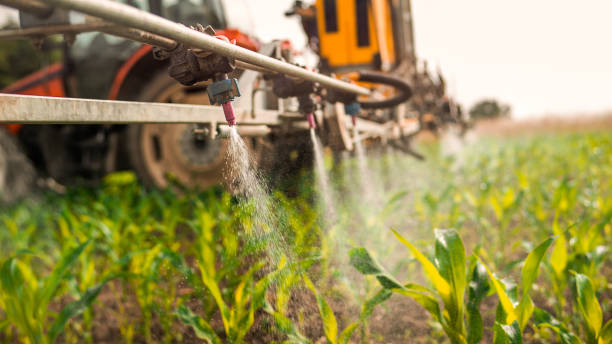 Best Pest Removal Services  in Munroe Falls, OH